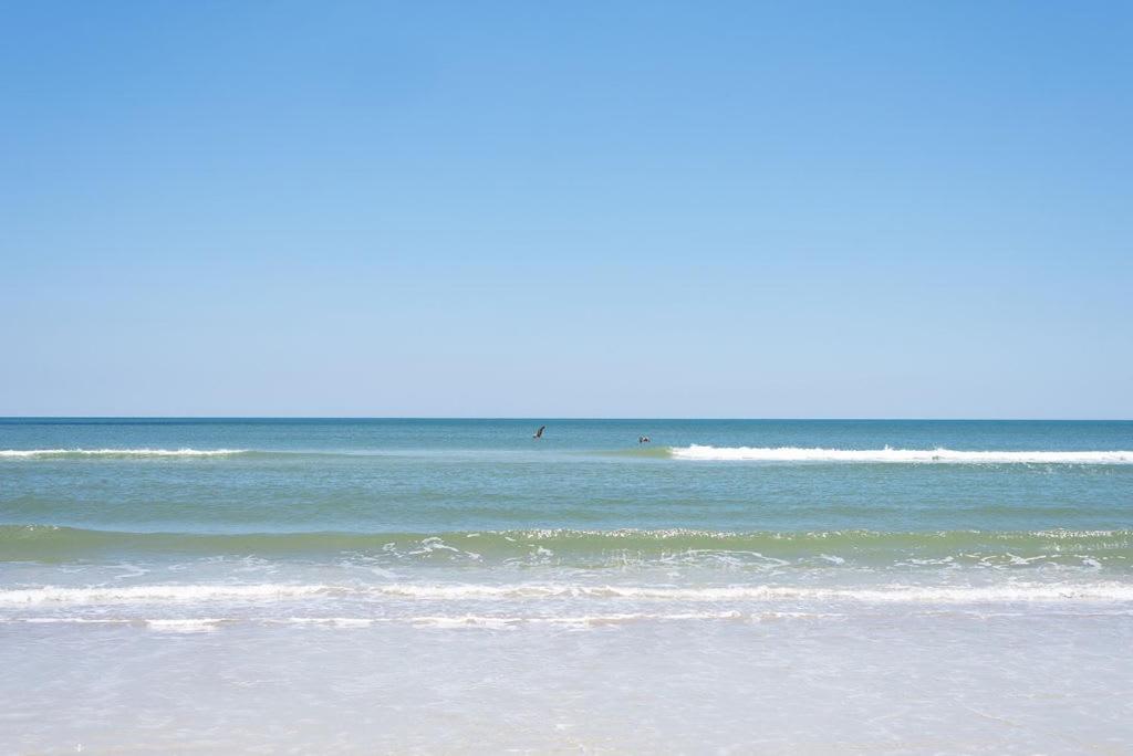 Bright New Beach House With In- Law Suite -- 2 Blocks To Beach! Saint Augustine Eksteriør billede