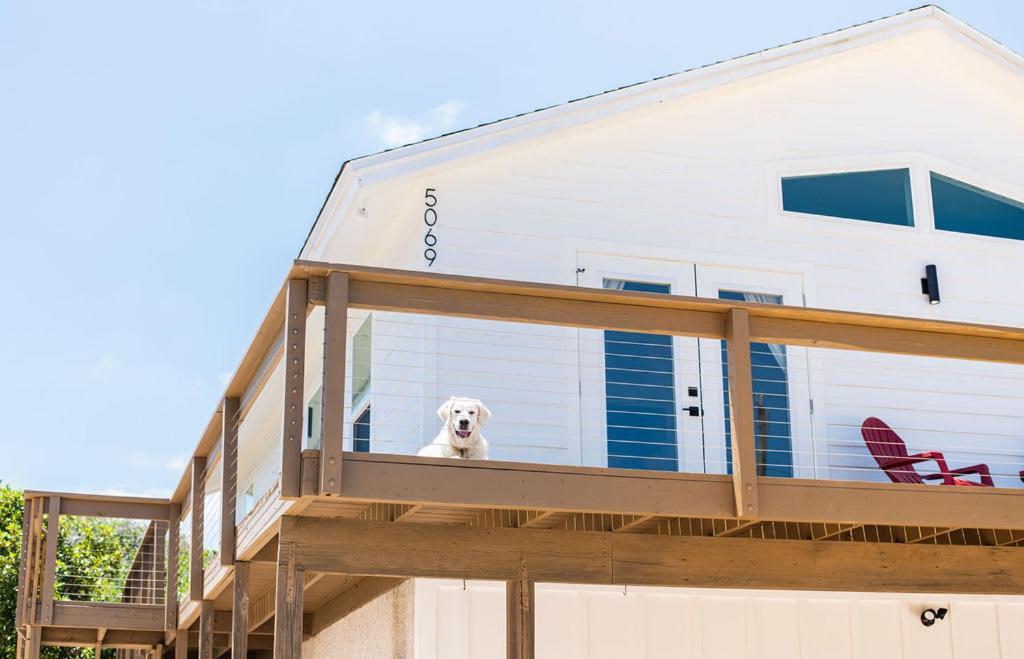Bright New Beach House With In- Law Suite -- 2 Blocks To Beach! Saint Augustine Eksteriør billede